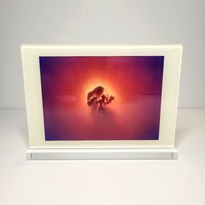 Acrylic Beauty and the Beast Framed Art, Disney Drop Box Beauty and the Beast